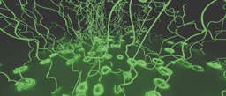  From corkscrews to causes: unravelling the chirality of malaria parasites