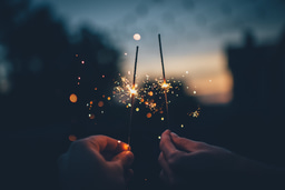 Wrapping up the anniversary year: Journal of Ethnobiology and Ethnomedicine celebration recap