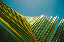 July Highlights from Mathematics, Physical and Applied Sciences Communities 
