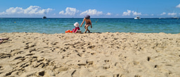  The perfect bioinformatic toolbox for picnic on the beach