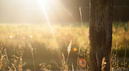 Quarterly Highlights from the Humanities and Social Sciences Communities 