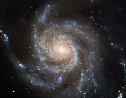 Biology and beyond