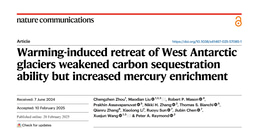 Warming May Weaken Carbon Sequestration in Southern Ocean Marginal Seas While Amplifying Mercury Accumulation