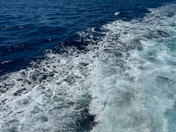 Northeast Pacific marine heatwaves, why do we care and what did we find?