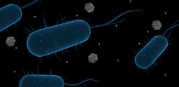 Silver nanoparticles, a sustainable antimicrobial? 