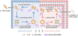 Engineering Dynamic Electrolyte Microenvironments via Double‑Shell Hosts for Practical Lithium–Sulfur Batteries