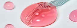 Conducting Polymer Hydrogel for All-Hydrogel Bioelectronics