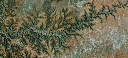 The structure of dendritic river networks shapes ecological dynamics
