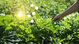 Call for papers: Nanotechnology applications in plant stress tolerance Collection
