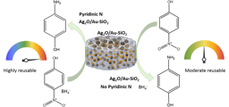 Pyridinic N anchored Ag and Au hybrids for detoxification of Organic pollutants