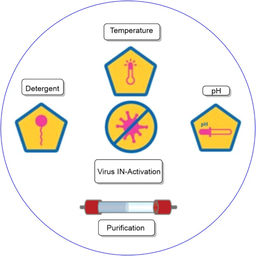 Viral Clearance: Safety and Efficiency of Biopharmaceuticals