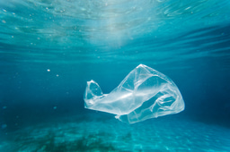 Call for papers: Microbial Plastic Degradation