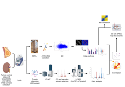 When two proteomic platforms look at the same tumour sample, do they see the same biology?