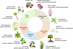 Bringing tropical plant diversity into the genomic era
