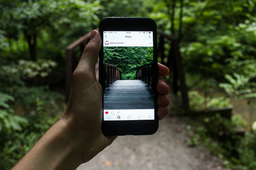 Social Media Data for Urban Sustainability