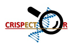 CRISPECTOR: A Better Tool for Measuring CRISPR-Cas-induced Adverse Activity