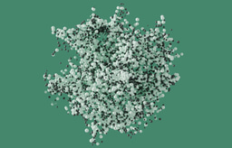 Beyond Targets: Automating Phenotype-Directed Discovery
