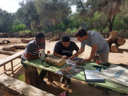 The puzzle of 'legal' deforestation, solved data point by data point: uncovering the Chaco's best-kept secret