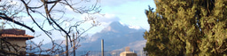 Speciation Gordon Research Conference