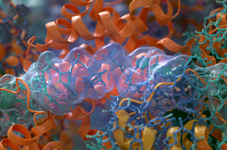 Call for papers: Expanding the landscape of post-translational modifications 