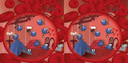 Either you have it, or you don't! The role of exported kinases in species-specific host pathogen interaction in human malaria. 
