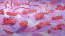 Biomedicine - June Collection launches 