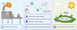 Turning Sunlight and MOF into a Weapon Against Toxic Algae