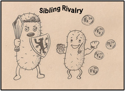 Episode 2 Sibling Rivalry 