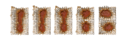 Topology and control of self-assembled domain patterns in low-dimensional ferroelectrics