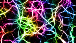 From stem cells, billions of brain cells grow
