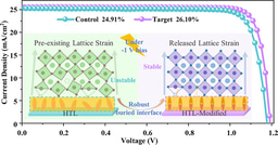 Taming Lattice Strain via Buried Interface Engineering for Reverse‑Bias Resilient Perovskite Solar Cells
