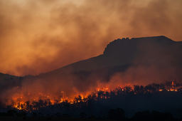 Wildfires Don’t Just Need Better Prediction - They Need Better Coordination