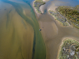 The value of the unseen: how tiny animals stabilise estuarine ecosystems