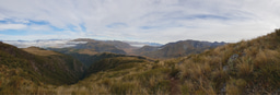 Insights from a Visiting Fellowship at The University of Canterbury, New Zealand