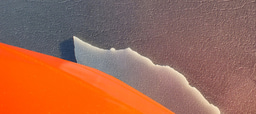 An Antarctic plasmid goes viral