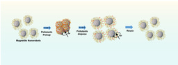 Pick up and dispose of pollutants from water via temperature-responsive micellar copolymers on magnetite nanorobots