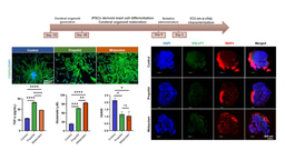 ICU patient-on-a-chip emulating orchestration of mast cells and cerebral organoids in neuroinflammation