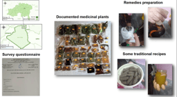 A medicinal tradition still full of discoveries