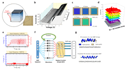 Highly reliable dynamic memristor array for neuromorphic computing
