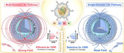 Bioinspired Molecular Magnetic Field-Responsive Catalyst for On-Demand Switching of 2e− and 4e− Oxygen Reduction