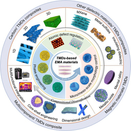 Advances in TMDs-Based Electromagnetic Wave Absorbers: From Structural Engineering to Multicomponent Synergy