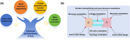 Unlocking Efficient Solar H₂O₂ Production via Donor–Acceptor Conjugated Polymers