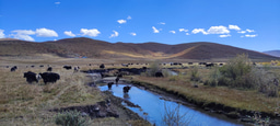 Accounting for released methane in ditches is crucial for accurate emission assessments from global peatlands drainage