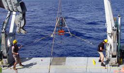 Marine, extreme, but not pristine: Anthropogenic pollution in the deepest ecosystem on Earth