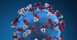 Coronavirus Protocols and Methods on Springer Nature Experiments