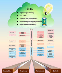 Beyond Isolated Optimization: A Holistic Review Across the Pre‑Mid Post‑Treatment Chain for Hard Carbon in Sodium‑Ion Battery