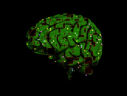 Podcast: Pay attention! How your brain decides what to focus on