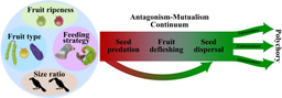 Embracing the complexity of plant–bird interactions to understand species’ roles within ecosystems