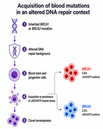 BRCA and JAK2V617F: When inherited cancer risk meets blood stem and progenitor cell clones