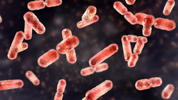 Call for papers: Antimicrobial resistance